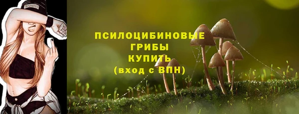 мдпв Арсеньев