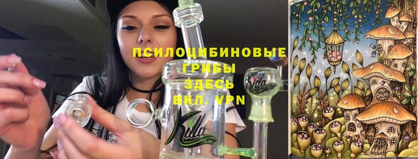 мдпв Арсеньев